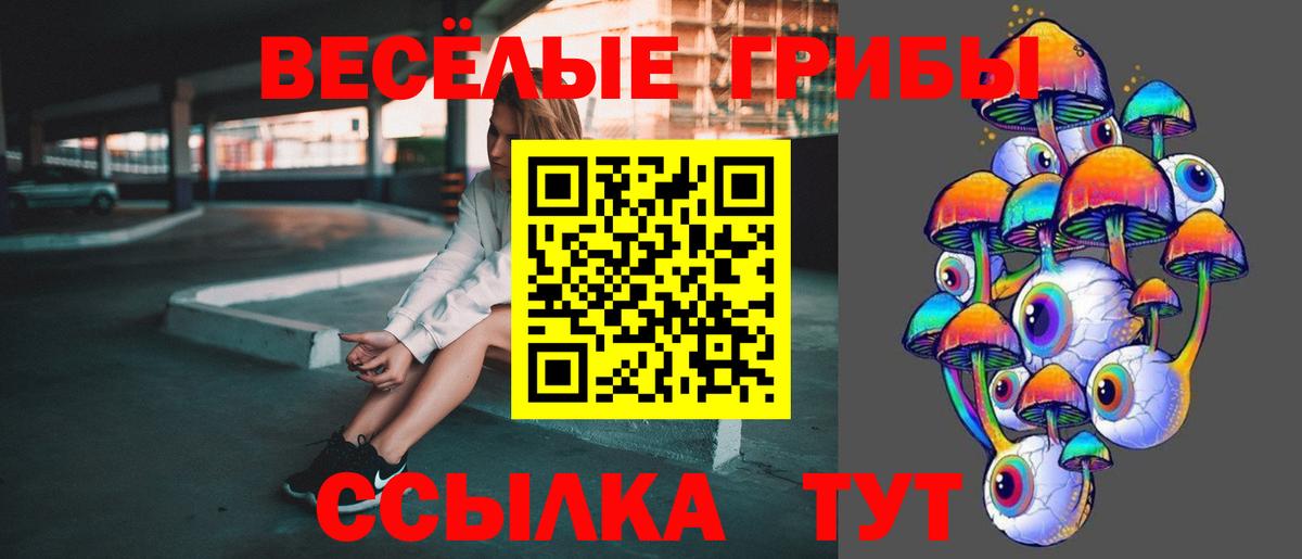Галлюциногенные грибы Psilocybine cubensis Новочеркасск